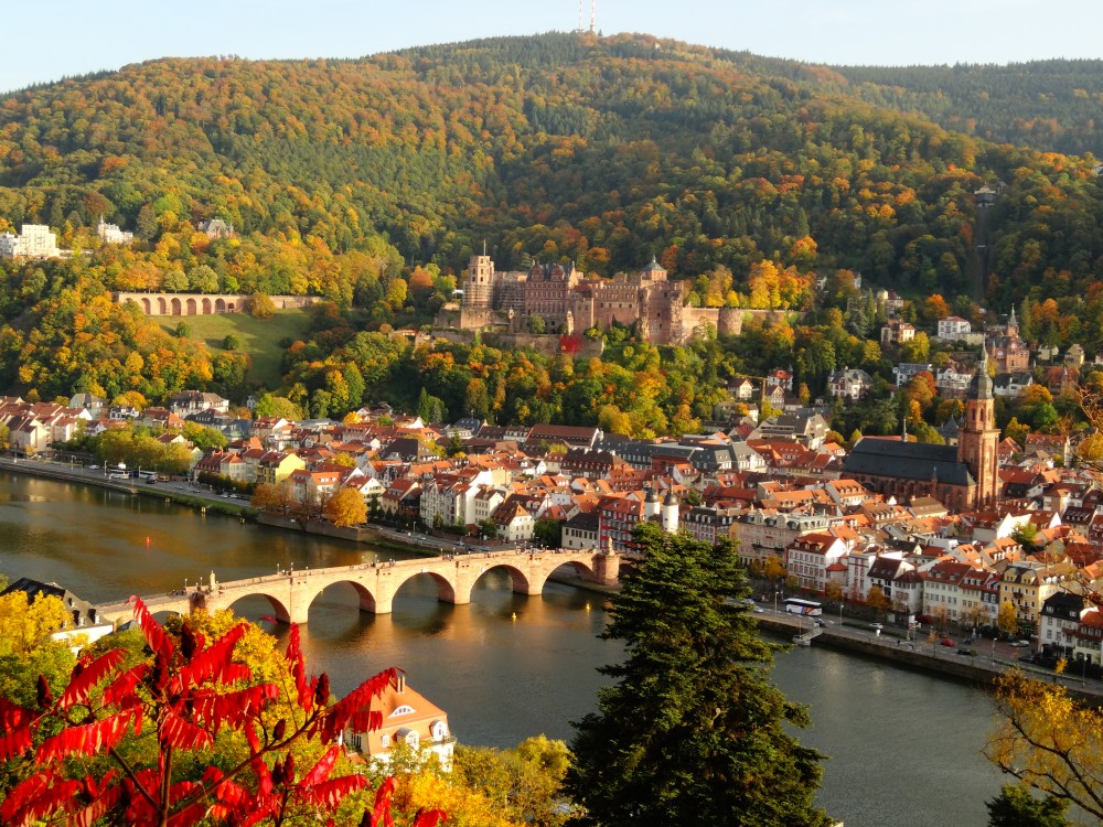 The Altstadt view from Philosophenweg. 
