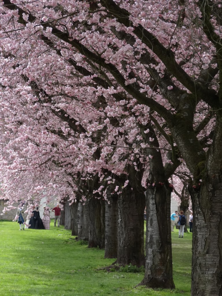 But I don't mind having them in my pictures!