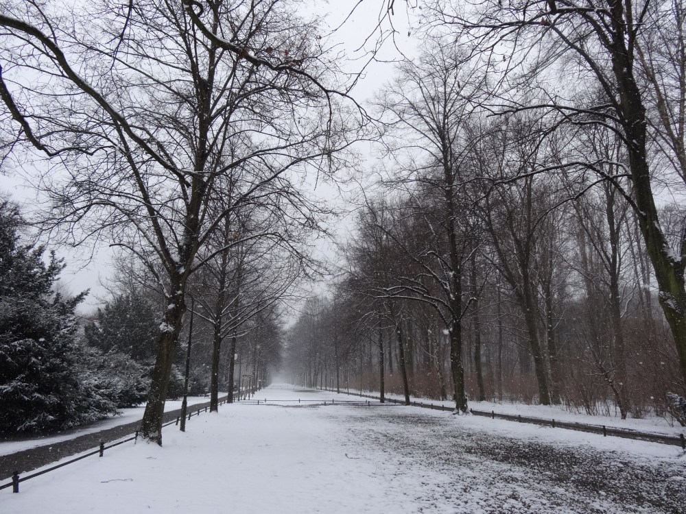 Tiergarten, Feb 20, 2013.