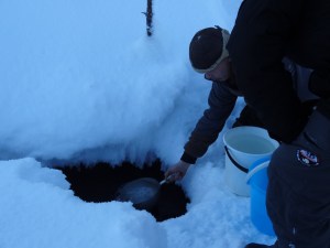 We were collecting water from a nearby stream