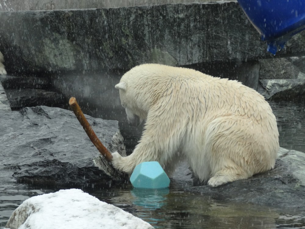 Corinna trying to break the stick
