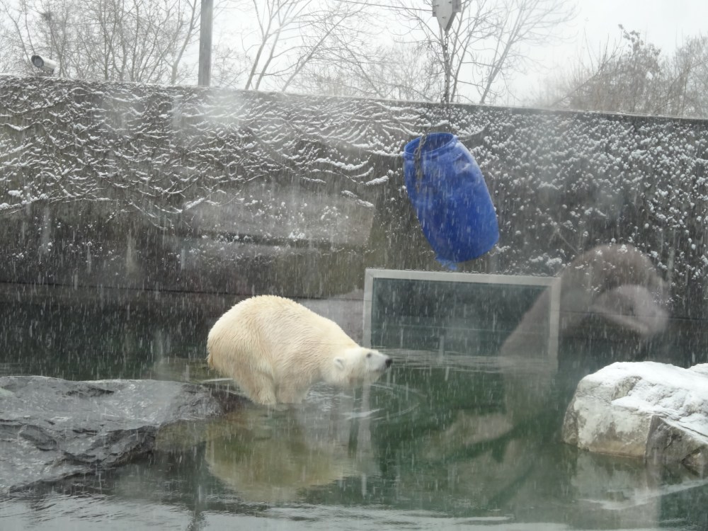 Corinna hitting the barrel