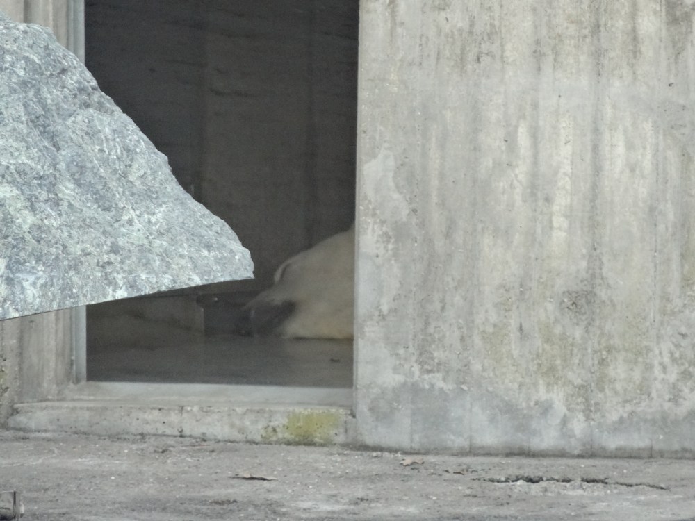 The first time I saw Anton... or Corinna. I can't really tell from this picture!