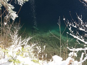 DSC05981