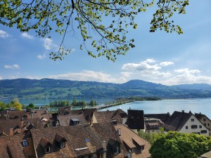 Rapperswil and Lake Zurich