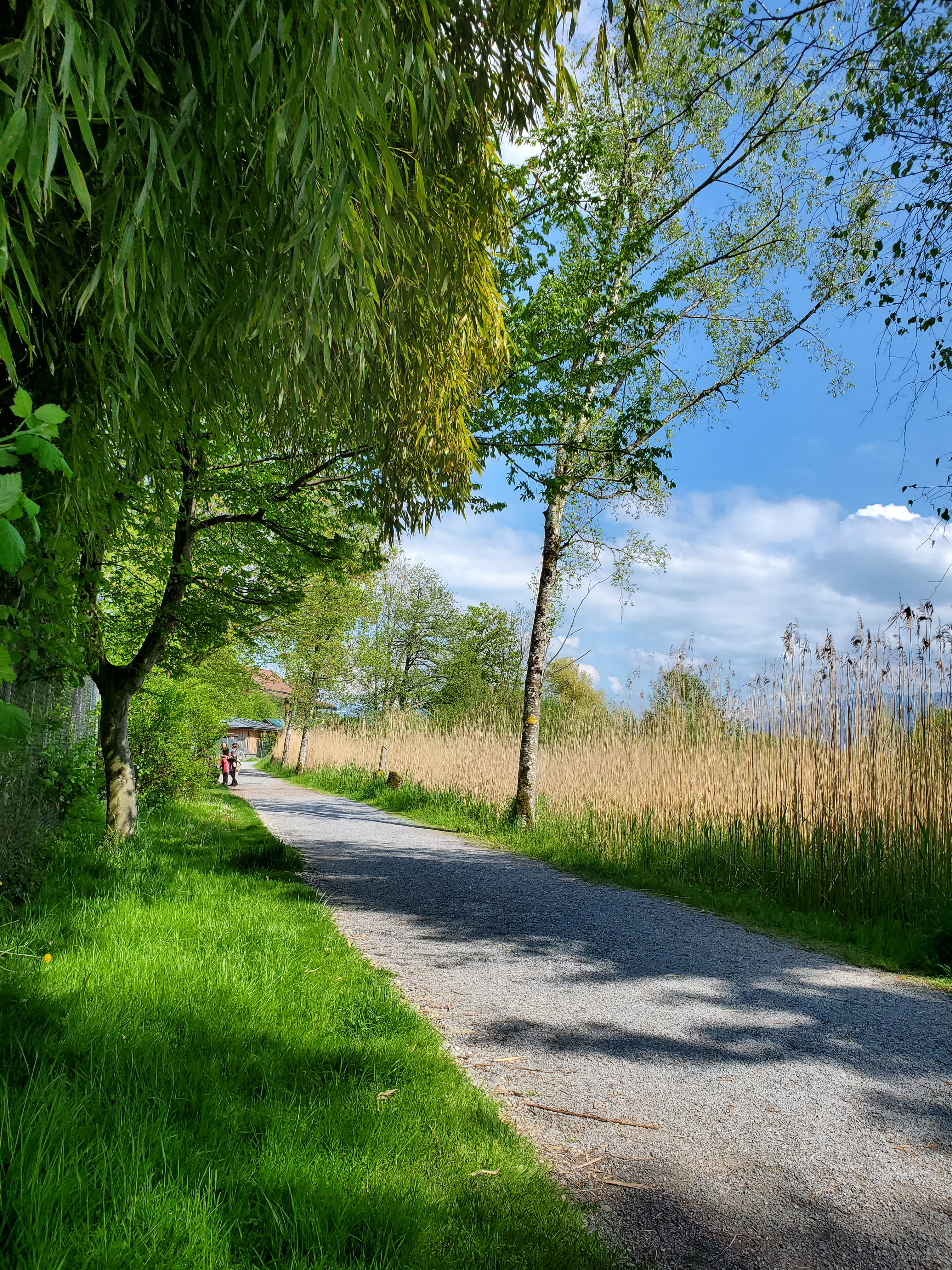 Strandweg, Rapperswil